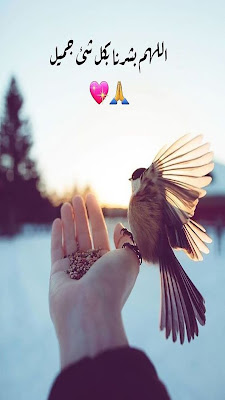 صور جميلة.. أفضل الصور الجديدة والرائعة لعام 2025